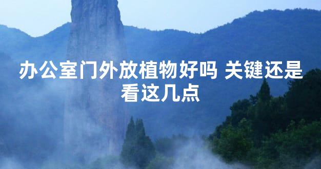 办公室门外放植物好吗 关键还是看这几点